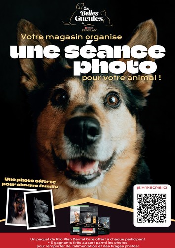 Séance photo gratuite de votre animal Séance photo gratuite de votre animal