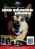 Séance photo gratuite de votre animal